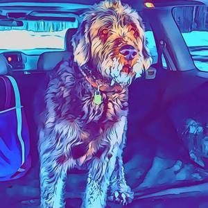 Meet your Posher, Joel